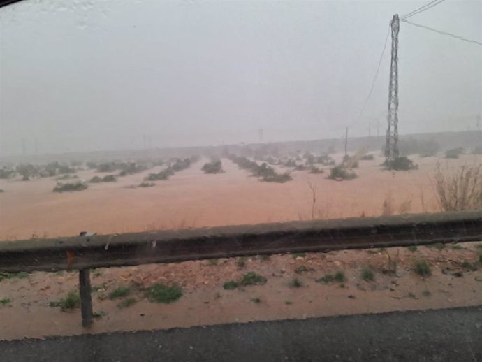 Imagen de campos dañados en Chiva