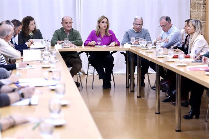 La presidenta de Diputación, Almudena Martínez, en la reunión sobre la gestión de Servicios Sociales.