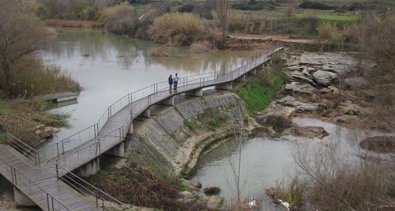 Aragón