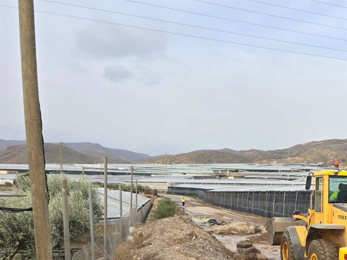 Camino Palomas, en El Ejido (Almería), después del temporal.