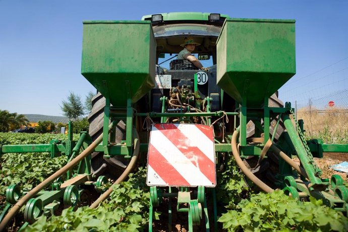 Archivo - Agricultura, agricultor, Andalucía. (Foto de archivo).