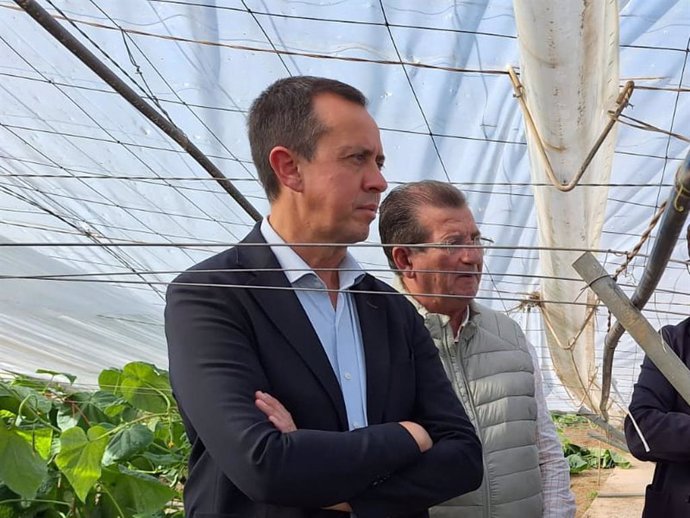 El delegado del Gobierno en Andalucía, Pedro Fernández (d), visita un invernadero derrumbado por el temporal en El Ejido (Almería)