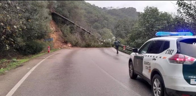 Un árbol obstruye la circulación en una carretera de Vejer.