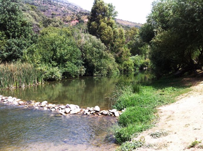 Archivo - Río Guadiaro 