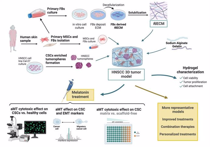 Científicos desarrollan modelos 3D de tumores para poner a prueba tratamientos y fármacos contra el cáncer