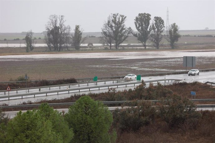 Inmediaciones de la carretera A-394 en Arahal anegadas debido a los efectos de las lluvias en las provincias de Cádiz y Sevilla. A 31 de octubre de 2024, en Sevilla (Andalucía, España). El temporal de lluvia y fenómenos meteorológicos adversos que azota A