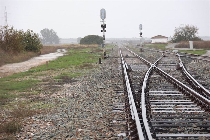 Vías del tren en las inmediaciones  de la carretera A-394 en Arahal. A 31 de octubre de 2024, en Sevilla (Andalucía, España). 