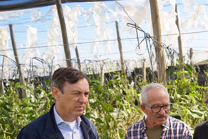 Cargos del PP visitan un invernadero en El Ejido (Almería) afectado por la DANA.