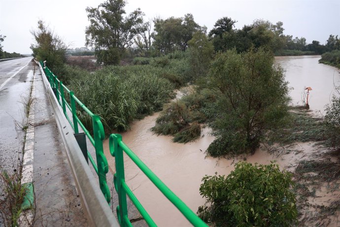 Inmediaciones de la carretera A-394 en Arahal anegadas debido a los efectos de las lluvias en las provincias de Cádiz y Sevilla. A 31 de octubre de 2024, en Sevilla (Andalucía, España). 