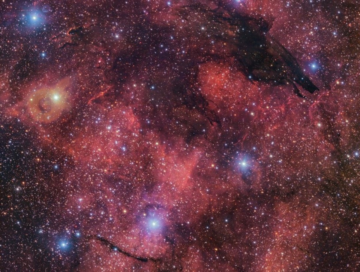 New ESO image captures ‘dark wolf’ in the sky