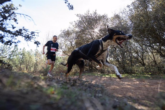 Archivo - Loterías renueva su compromiso con los deportes de invierno