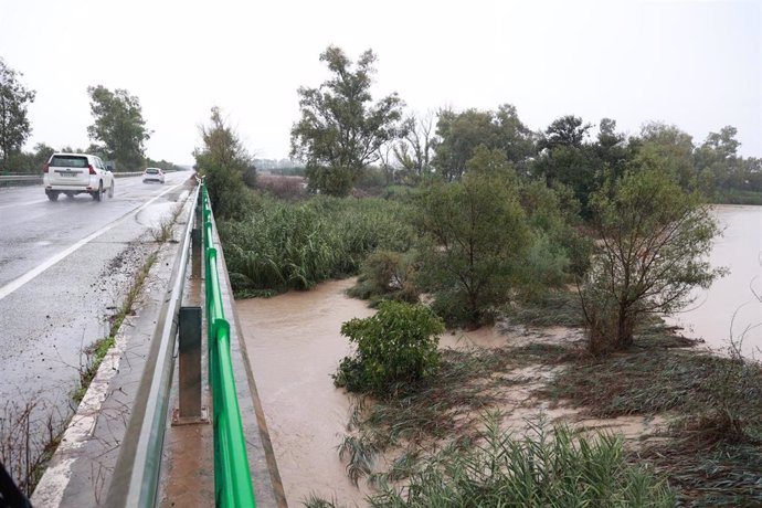 Inmediaciones de la carretera A-394 en Arahal anegadas debido a los efectos de las lluvias en las provincias de Cádiz y Sevilla.