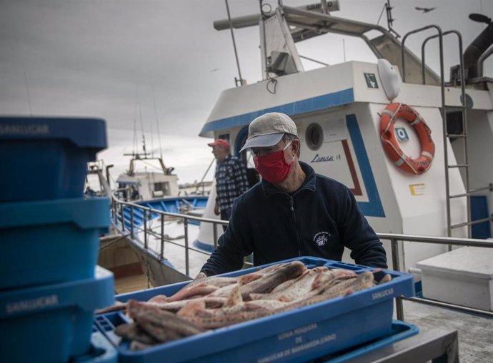 Archivo - Imagen de archivo de pescadores trabajando con mascarilla y guantes en la lonja pesquera de la Cofradía de Pescadores de Sanlúcar de Barrameda.