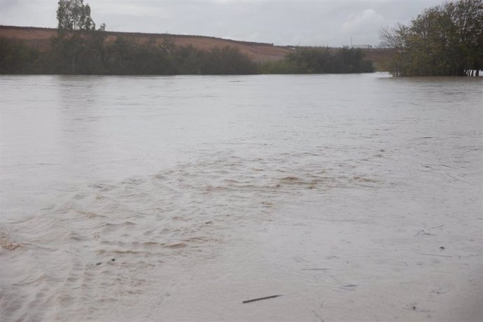 El rio Guadiana a su paso por la SE-40, a 31 de octubre de 2024, en Sevilla (Andalucía, España). El temporal de lluvia y fenómenos meteorológicos adversos que azota Andalucía desde el pasado lunes ha sumado otro centenar de incidencias durante la madrugad