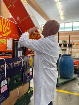 Un trabajador en el mercado de flores y plantas de MercaMurcia