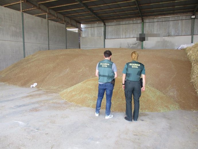 Agentes comprueban el trigo intervenido