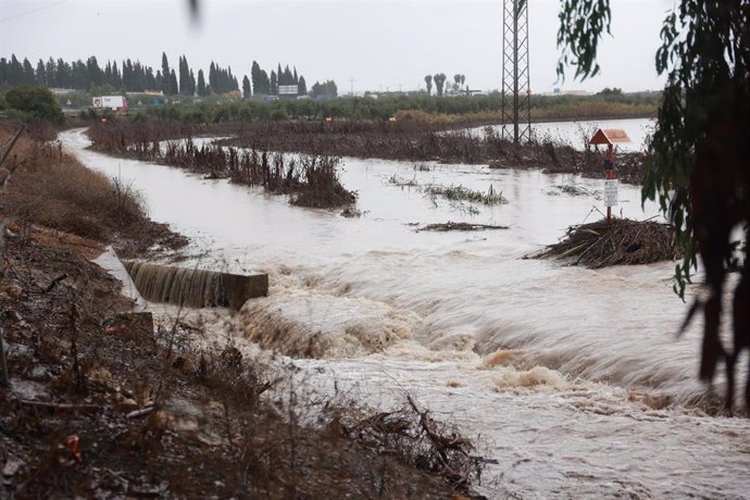 Arroyo El Saladillo que amenaza con desbordarse, en Arahal. A 31 de octubre de 2024, en Sevilla (Andalucía, España).