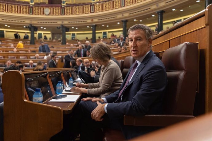 El presidente del PP, Alberto Núñez Feijóo, durante una sesión de control al Gobierno, en el Congreso de los Diputados, a 30 de octubre de 2024, en Madrid (España). 