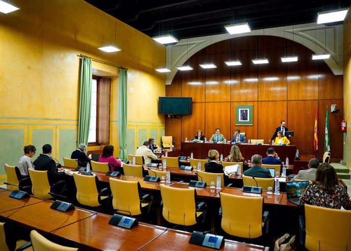 Sesión de la comisión de Justicia, Administración Local y Función Pública del Parlamento andaluz. (Foto de archivo).