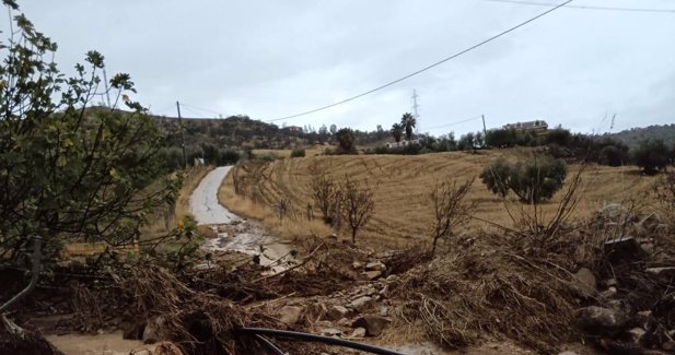 Málaga