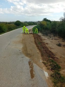 Trabajos de limpieza en la carretera de Alberite (CA-6105), en la provincia de Cádiz.