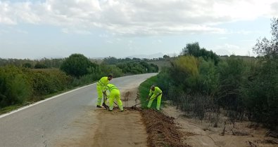 Cádiz al día