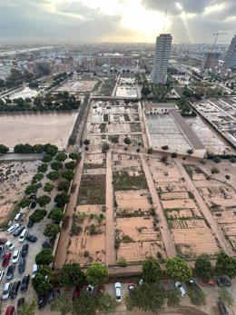 Daños causados por la DANA en el barrio de La Torre de València