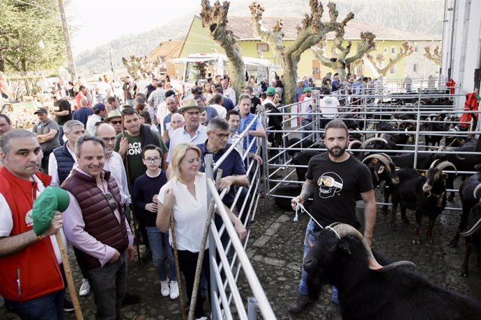 Susinos en la feria de Arredondo de Todos los Santos