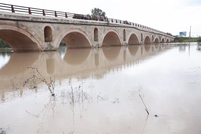 Crecida del río Guadalete a su paso por el puente de la Cartuja. A 1 de noviembre de 2024, en Jerez de la Frontera, Cádiz (Andalucía, España). Una veintena de carreteras siguen afectadas en la provincia de Cádiz por el temporal de los últimos días, al tie