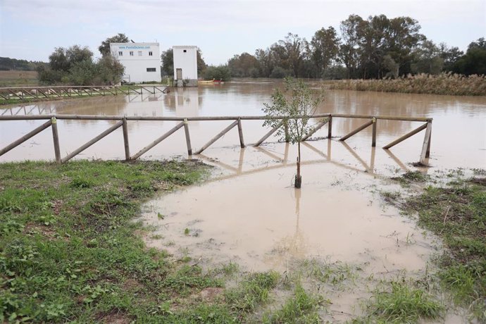 Crecida del río Guadalete a su paso por el puente de la Cartuja. A 1 de noviembre de 2024, en Jerez de la Frontera, Cádiz (Andalucía, España). Una veintena de carreteras siguen afectadas en la provincia de Cádiz por el temporal de los últimos días, al tie