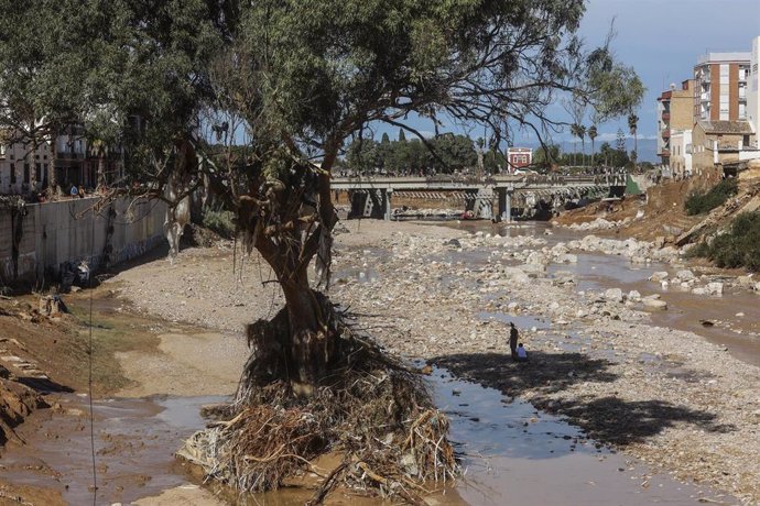 Estragos ocassionados por la DANA, este fournes en Paiporta, Valencia