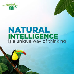 Comunicados Internacional