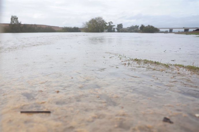 El rio Guadiana a su paso por la SE-40, a 31 de octubre de 2024, en Sevilla (Andalucía, España). El temporal de lluvia y fenómenos meteorológicos adversos que azota Andalucía desde el pasado lunes ha sumado otro centenar de incidencias durante la madrugad