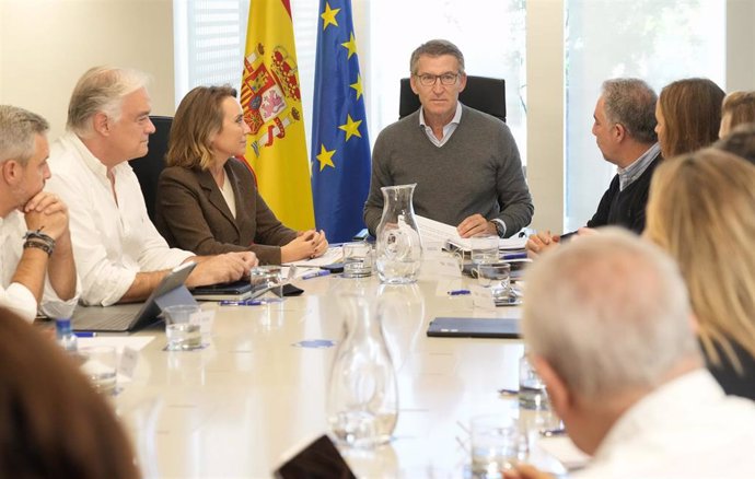 El líder del PP, Alberto Núñez Feijóo, con sus vicesecretarios y portavoces en una reunión del comité de dirección del PP.