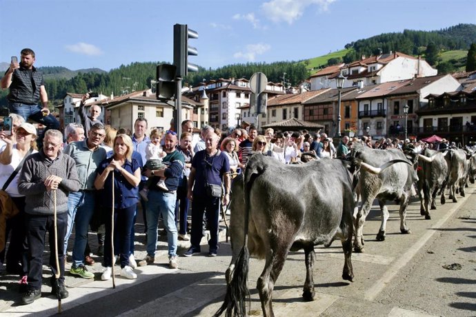 Feria ganadera de Potes