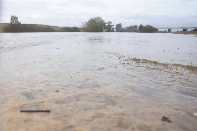 Imagen de archivo de la crecida del río Guadiana a su paso por la SE-40 en Sevilla como consecuencia de la DANA.