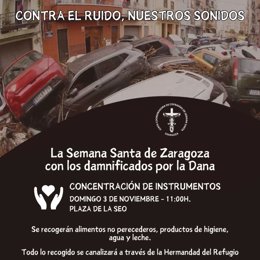 Cartel de la concentración convocada este domingo en la plaza de La Seo de Zaragoza