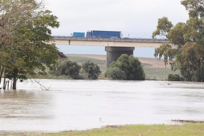 Imagen de 31 de octubre del río Guadiana a su paso por la SE-40 en Sevilla.