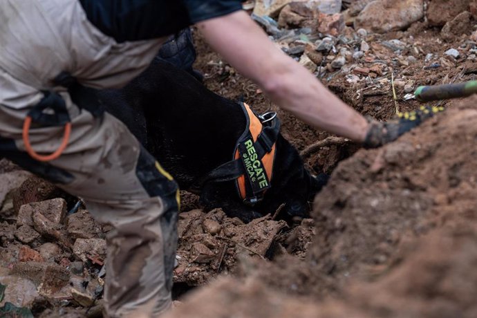 Búsqueda de víctimas en una zona afectada por la DANA, a 3 de noviembre de 2024, en Paiporta, Valencia