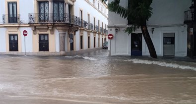 Jerez al día