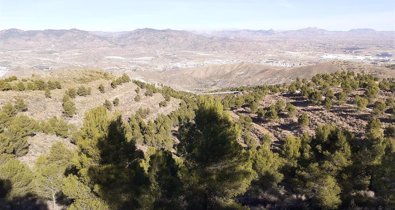 Andalucía Verde