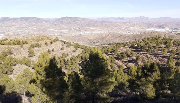 Sierra de los Filabres, en Almería.