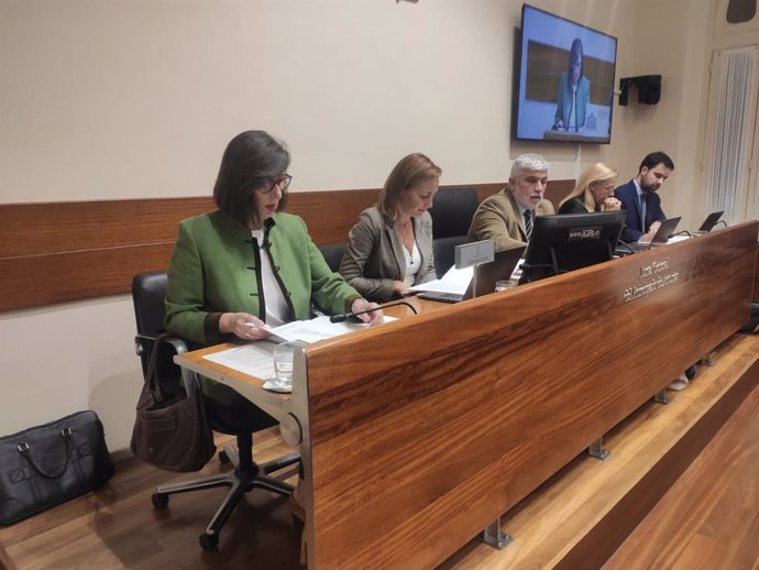 Nieves Roqueñí, en una comisión parlamentaria