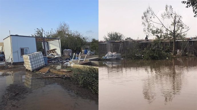 Refugio de animales de la protectora Modepran en Carlet (Valencia), anegado y dañado tras el paso de la DANA.