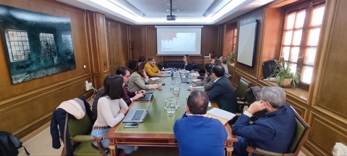 Reunión del jurado del Programa de Ideas Emprendedoras en el mundo rural  de la Diputación de Cáceres