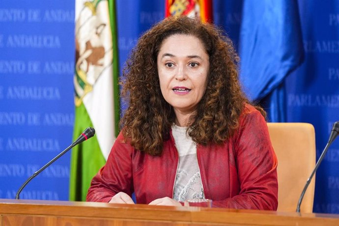 La portavoz del Grupo Por Andalucía, Inmaculada Nieto, durante una ronda de ruedas de prensa.