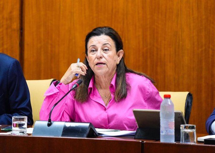 La consejera de Desarrollo Educativo y Formación Profesional de la Junta de Andalucía, María del Carmen Castillo, en la comisión parlamentaria del 4 de noviembre de 2024.