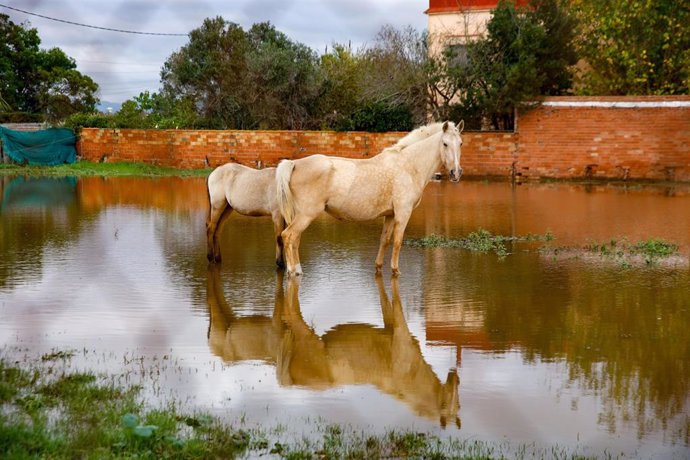 Zona inundada por las lluvias, a 4 de noviembre de 2024, en Castelldefels, Barcelona, Cataluña (España)