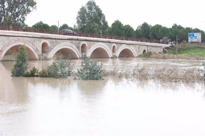 Crecida del río Guadalete a su paso por el puente de la Cartuja.