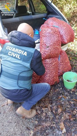 Castañas requisadas tras sorprender a los presuntos ladrones